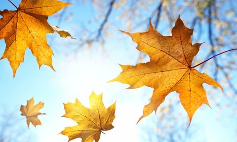Herbstpaket